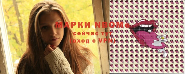 прущий лед Алзамай