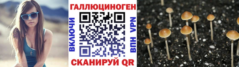 Псилоцибиновые грибы прущие грибы  ссылка на мегу зеркало  Костерёво  закладка 